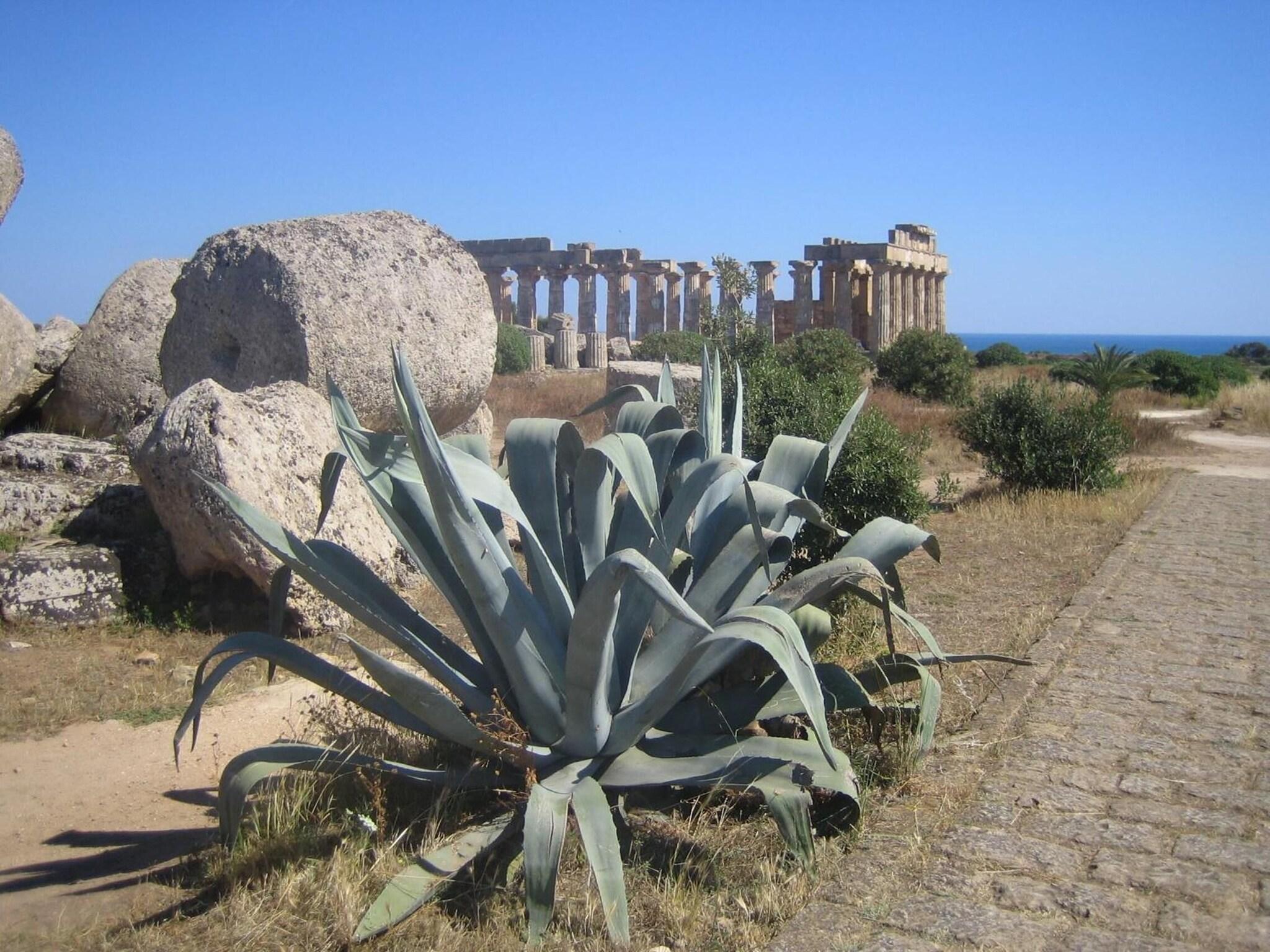 Vista Exterior Hotel Alceste