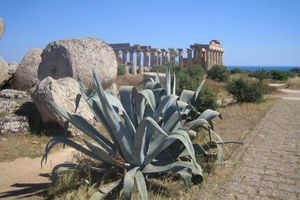 Alojamiento - Hotel Alceste