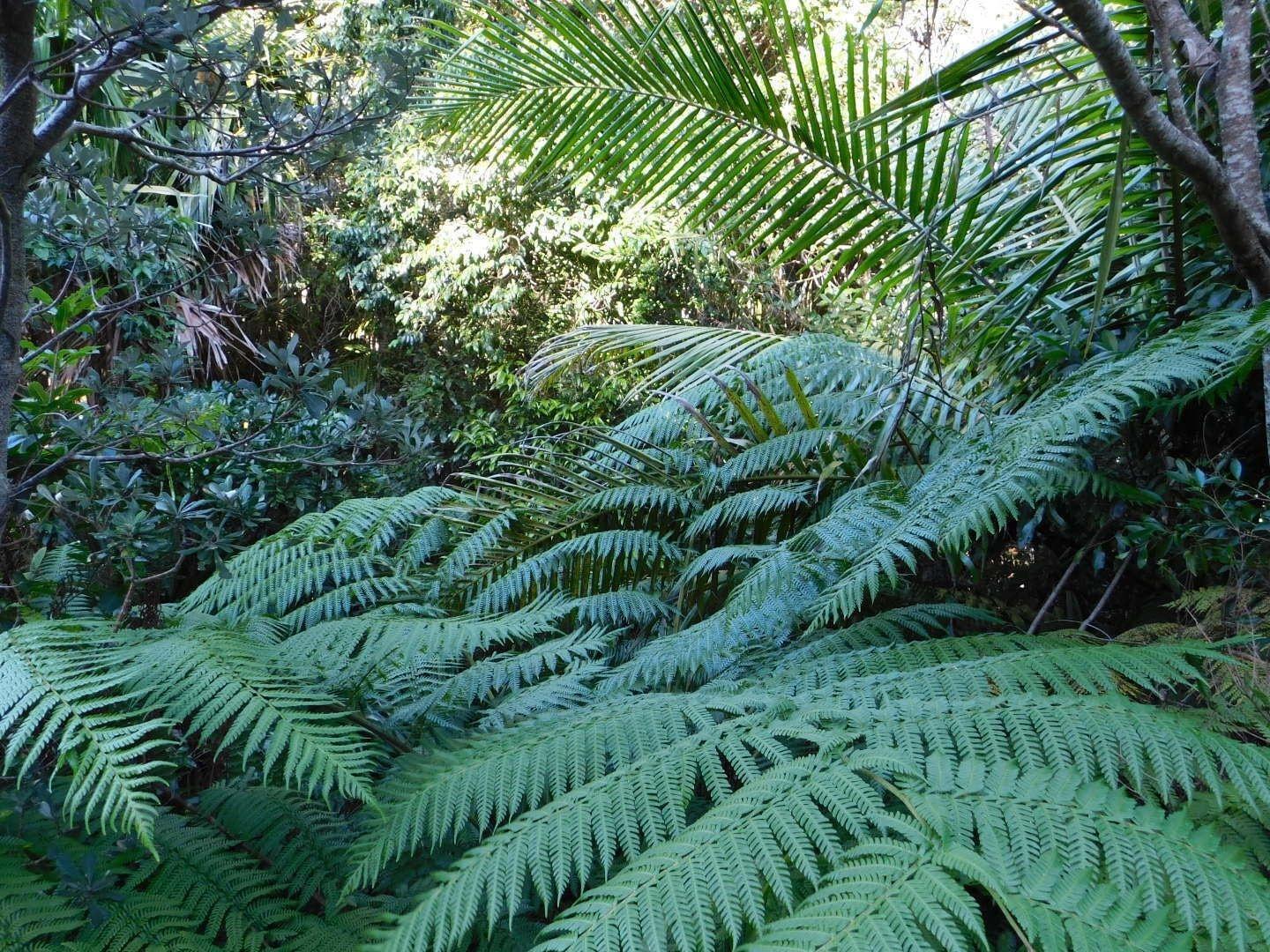 Playa Beachport Bed and Breakfast