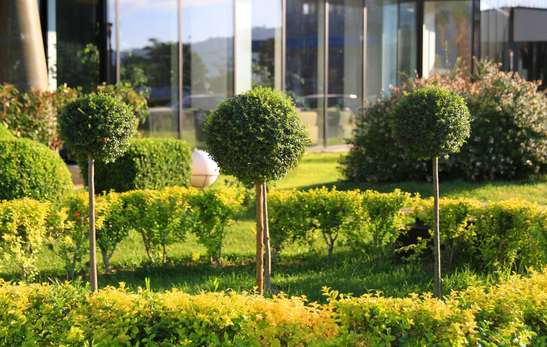 Vista Exterior Best Western Premier Ark Hotel