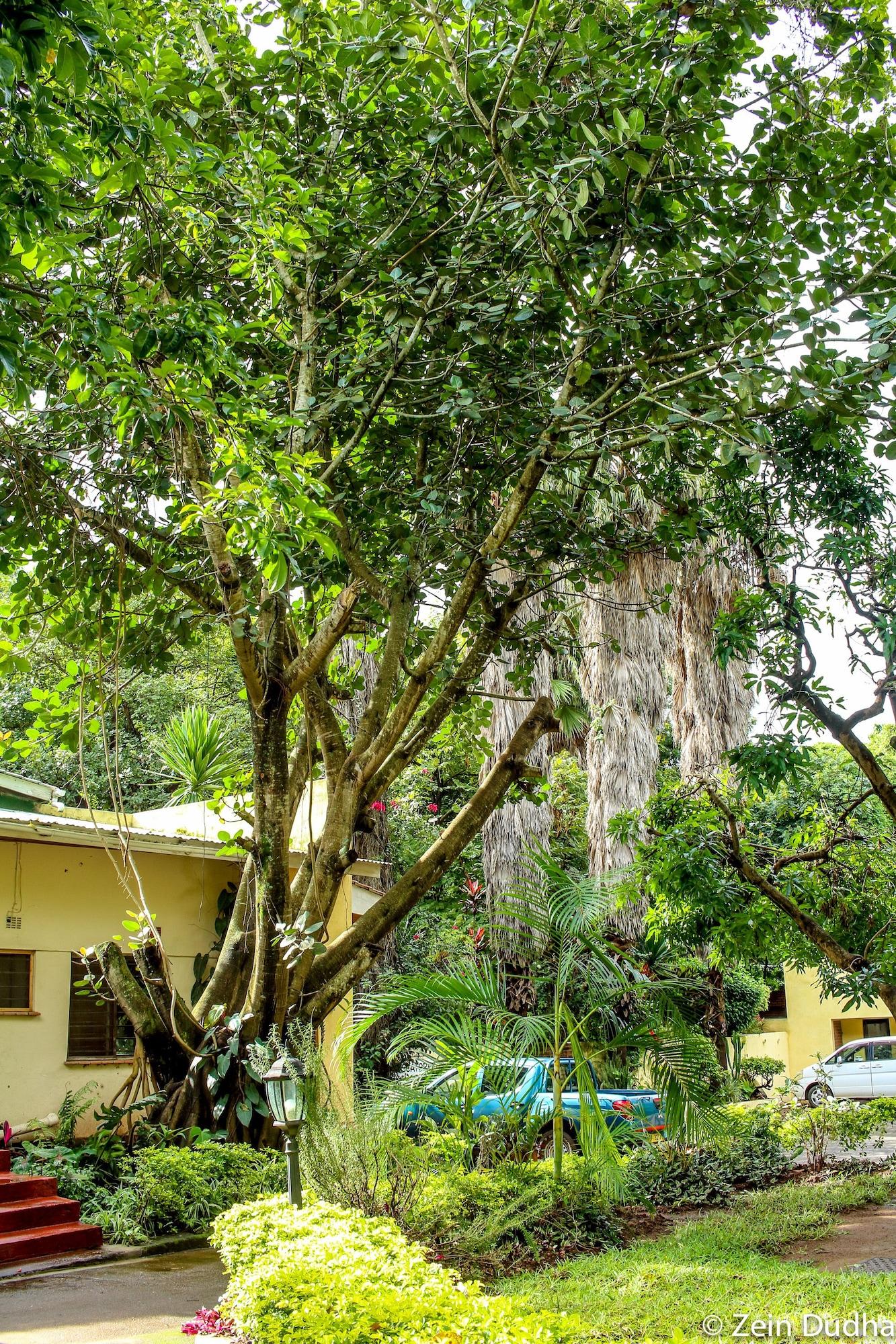 Vista Exterior Villa 33