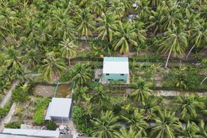 Alojamiento - Coco Happy Farm
