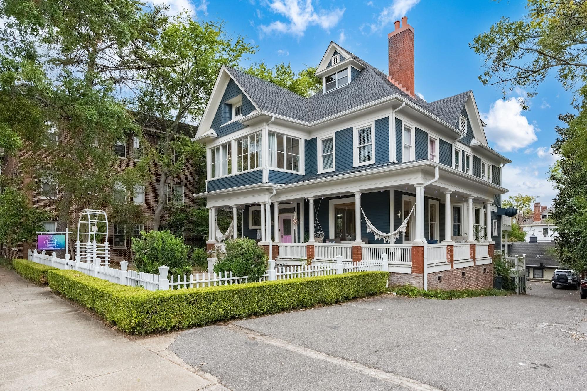Vista Exterior Tree House
