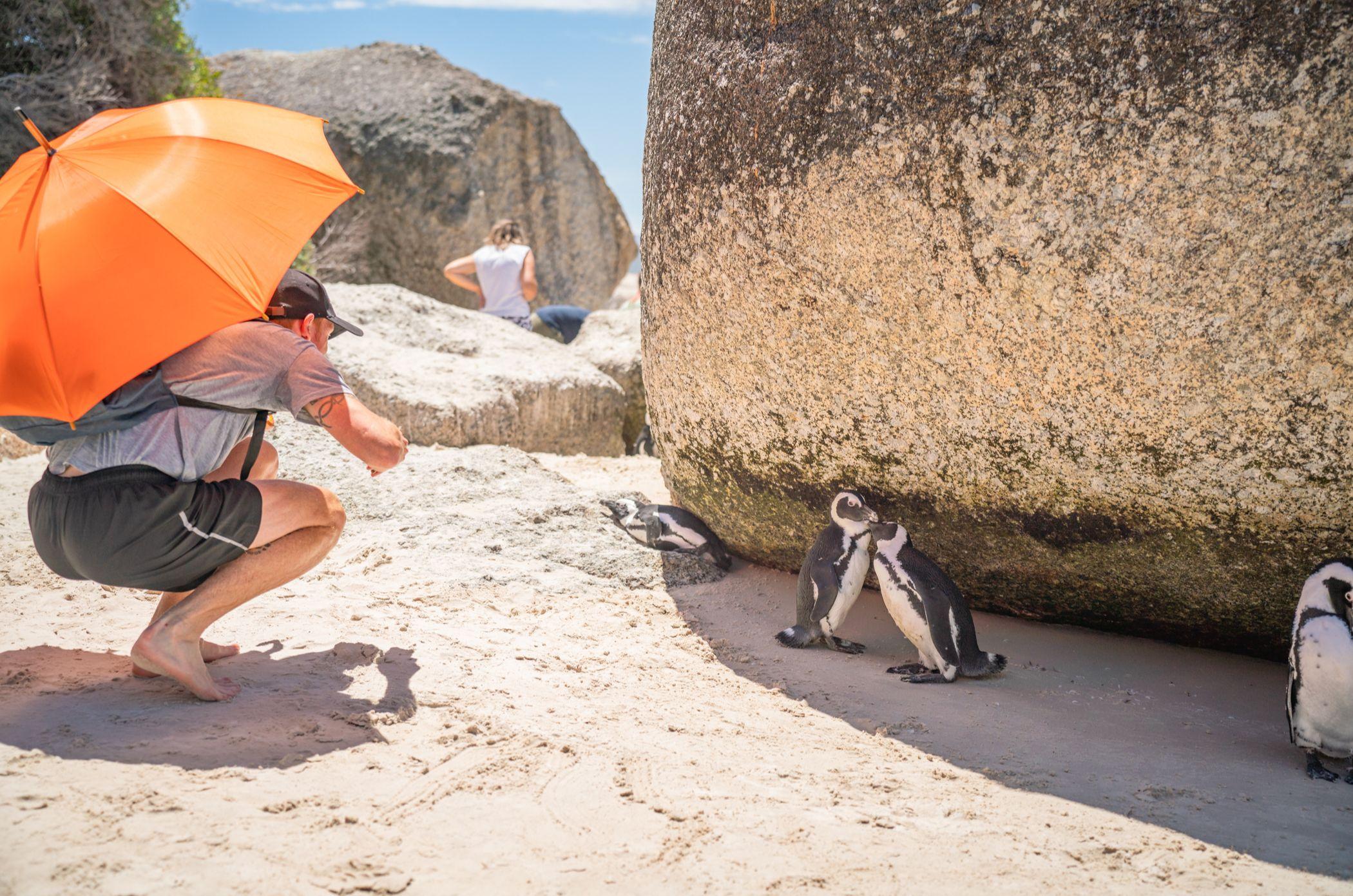 Playa never@home Cape Town