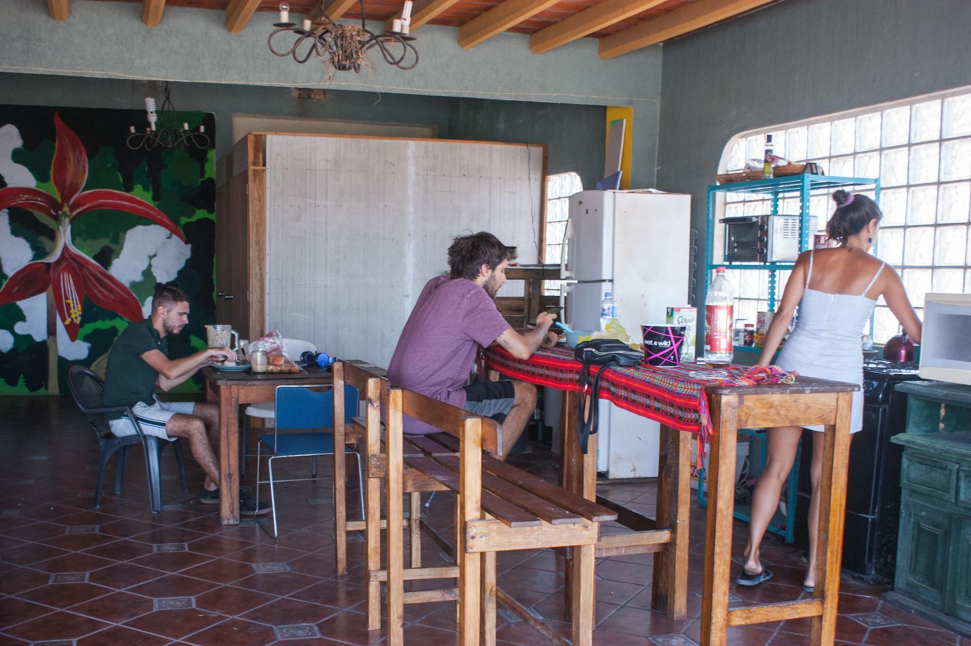 Restaurant Hostel Enjoy Vallarta 19