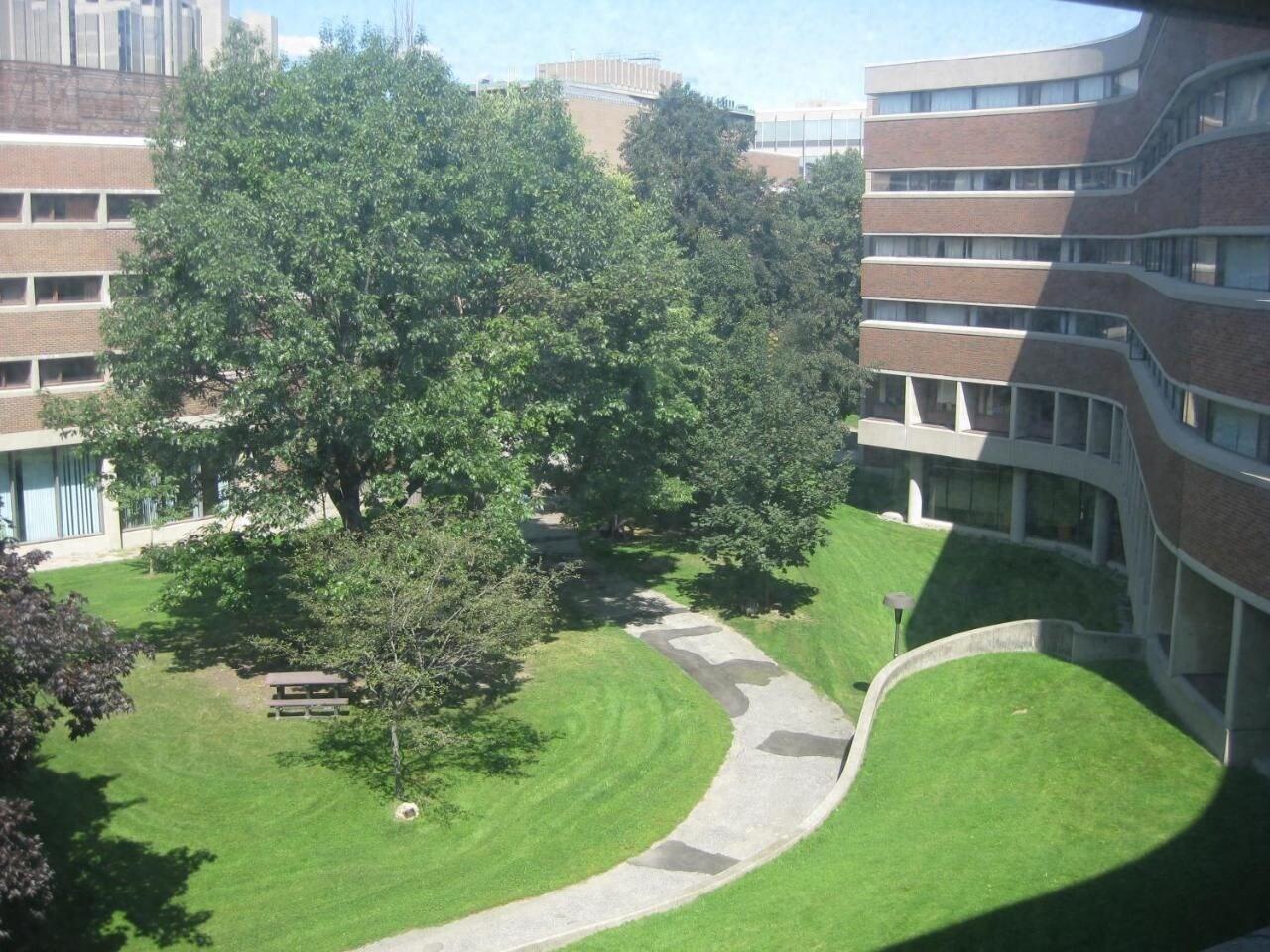 Vista Exterior Backpacker College at University of Toronto - New College Residence - Willson Hall