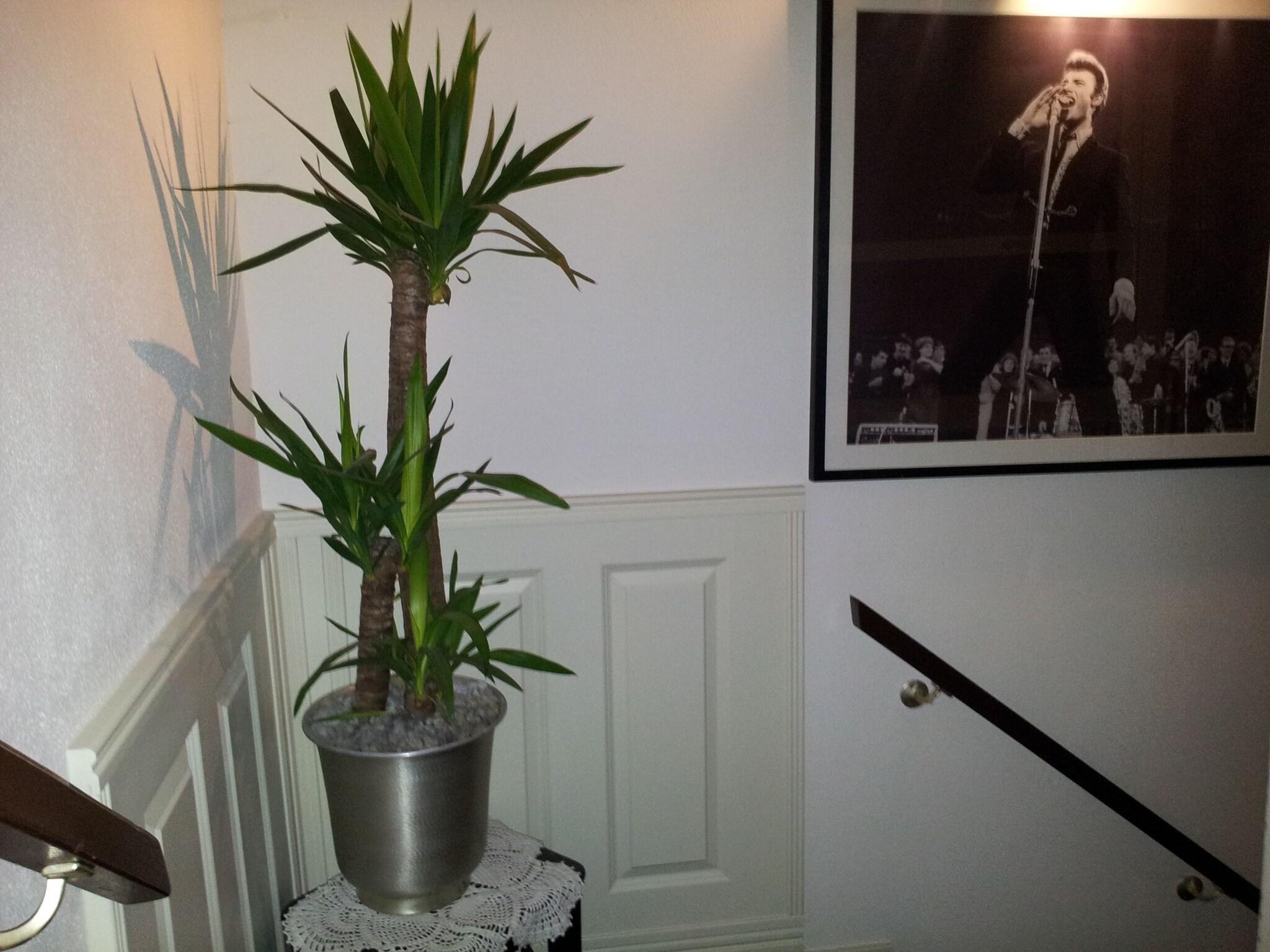 Vista Lobby The Concert Hotel