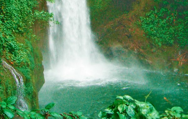 Jungla Urbana BnB - Adults Only