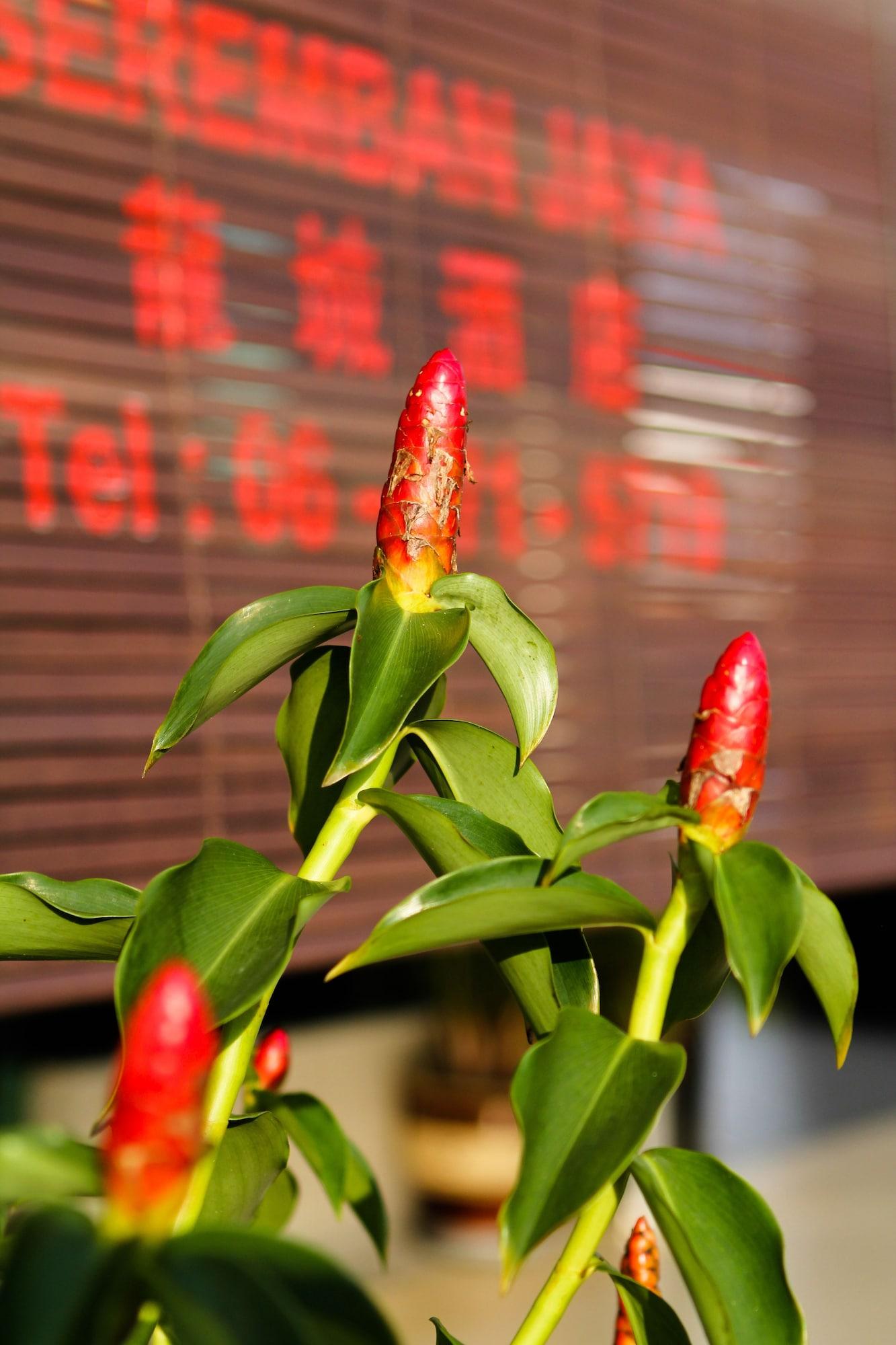 Comodidades del Alojamiento Hotel Seremban Jaya