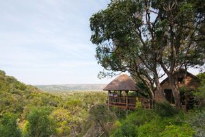 Alojamiento - Woodbury Lodge - Amakhala Game Reserve