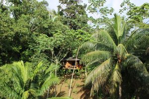 Alojamiento - Natural Drake Bay Hotel Boutique