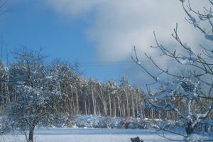 Alquiler Vacacional - Holiday Home in Fays With Sauna & Hiking