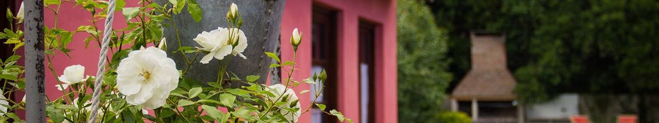 Hoteles en Uribelarrea