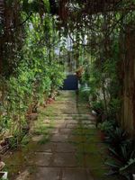 Alojamiento - Bunks Galle