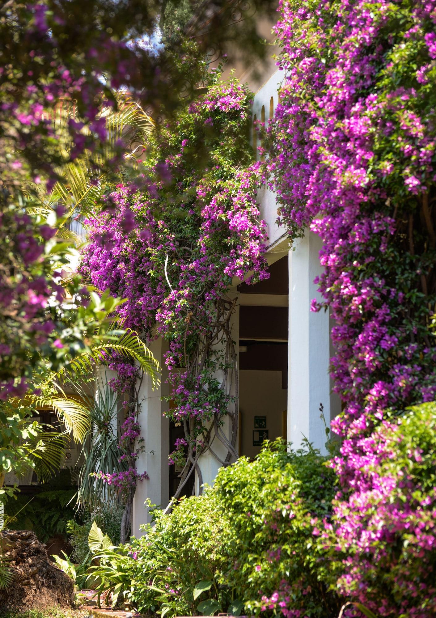Vista Exterior Hotel Hacienda Los Laureles - Spa