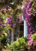 Alojamiento - Hotel Hacienda Los Laureles - Spa