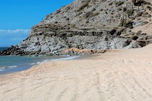 Actividad - Excursión a San Nicolás + Sandboarding