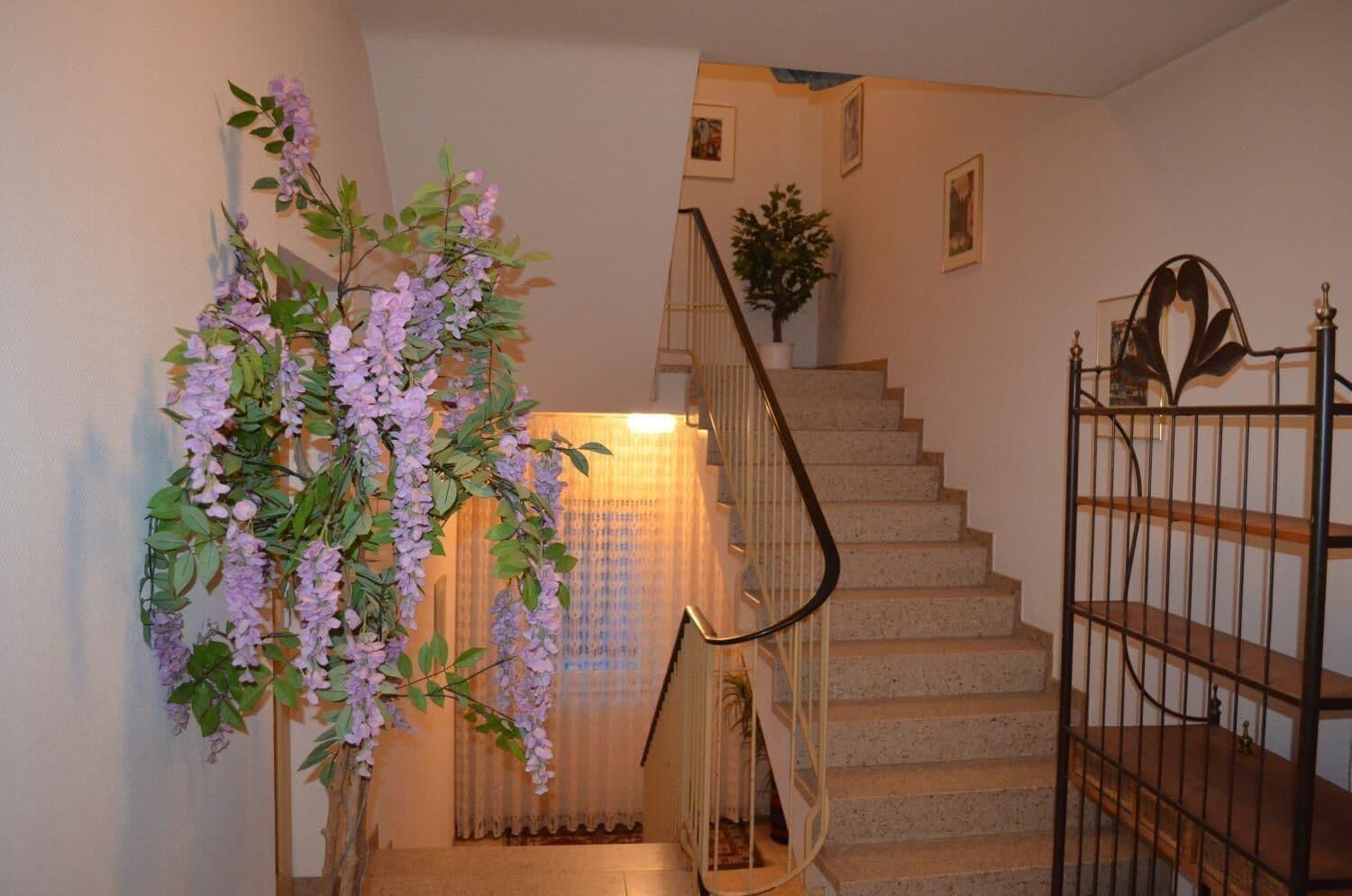 Comodidades del Alojamiento Hotel Drei Schweizer