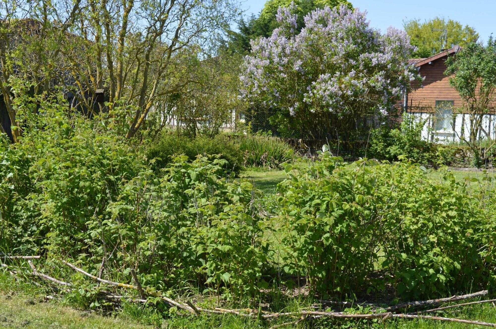 Comodidades del Alojamiento Au Passage des Grues