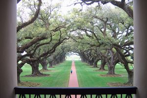 Actividad - Tour por la plantación Oak Alley