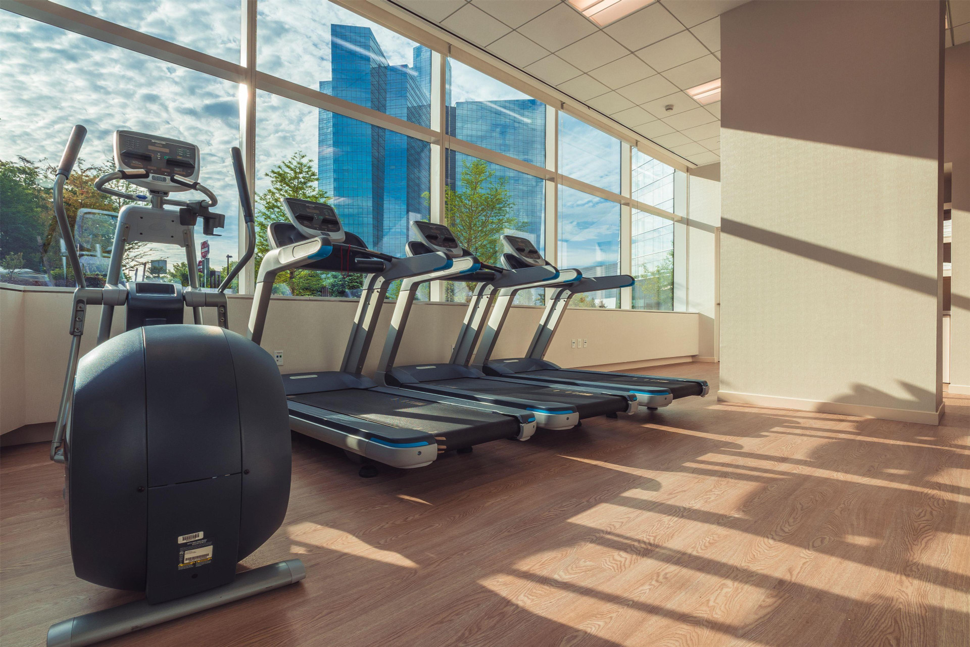 Gimnasio Mohegan Sun