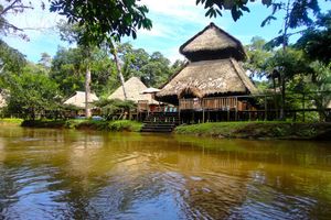 Alojamiento - Cuyabeno River Lodge