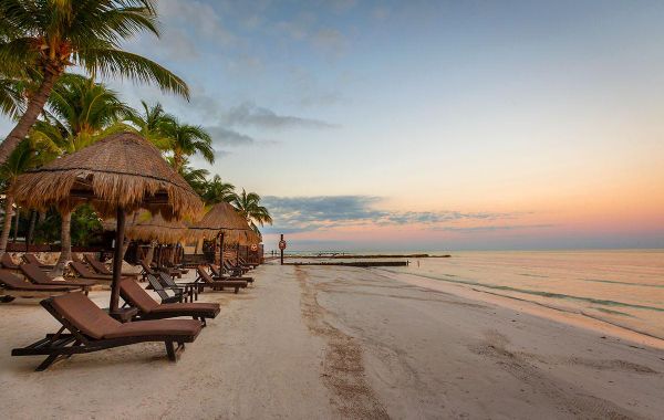 Hotel La Palapa