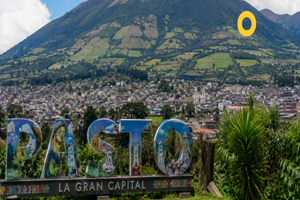 Actividad - Pasto plan 3 dias