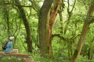 Actividad - Trekking en San Lorenzo, Salta con traslados