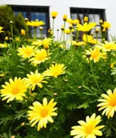 Alojamiento - La Casa de Don Ignacio