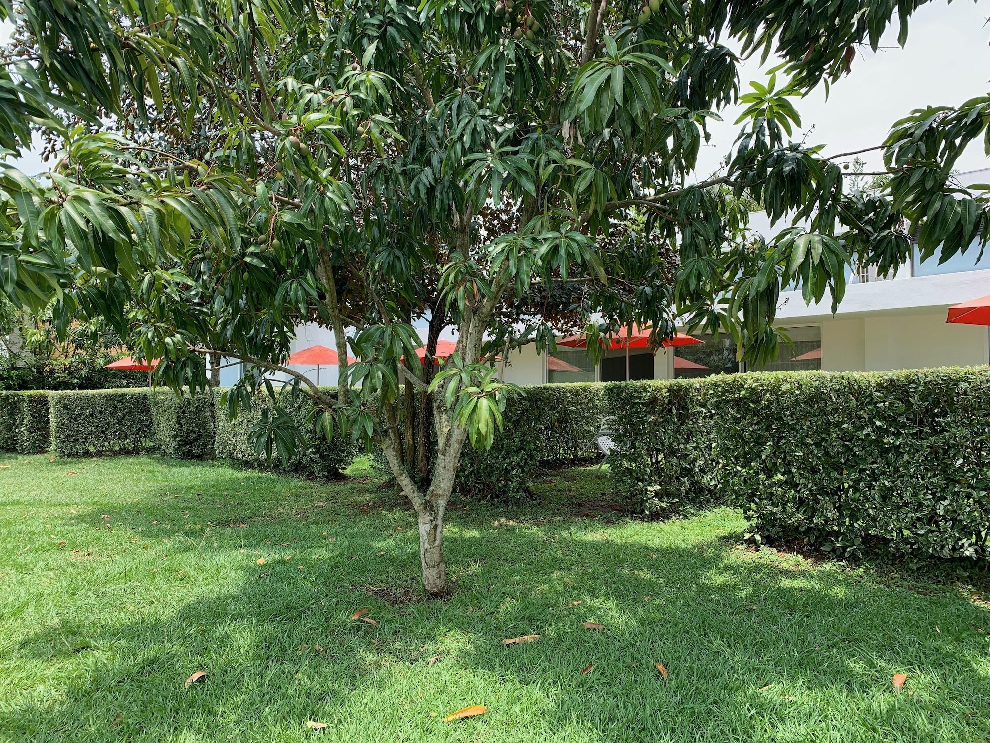 Equipamiento de Habitación LA MASIA HOTEL BOUTIQUE