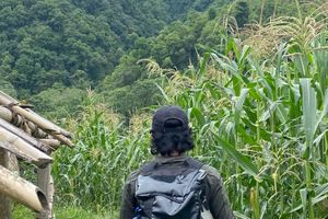 Actividad - Senderismo por el Lago Phewa