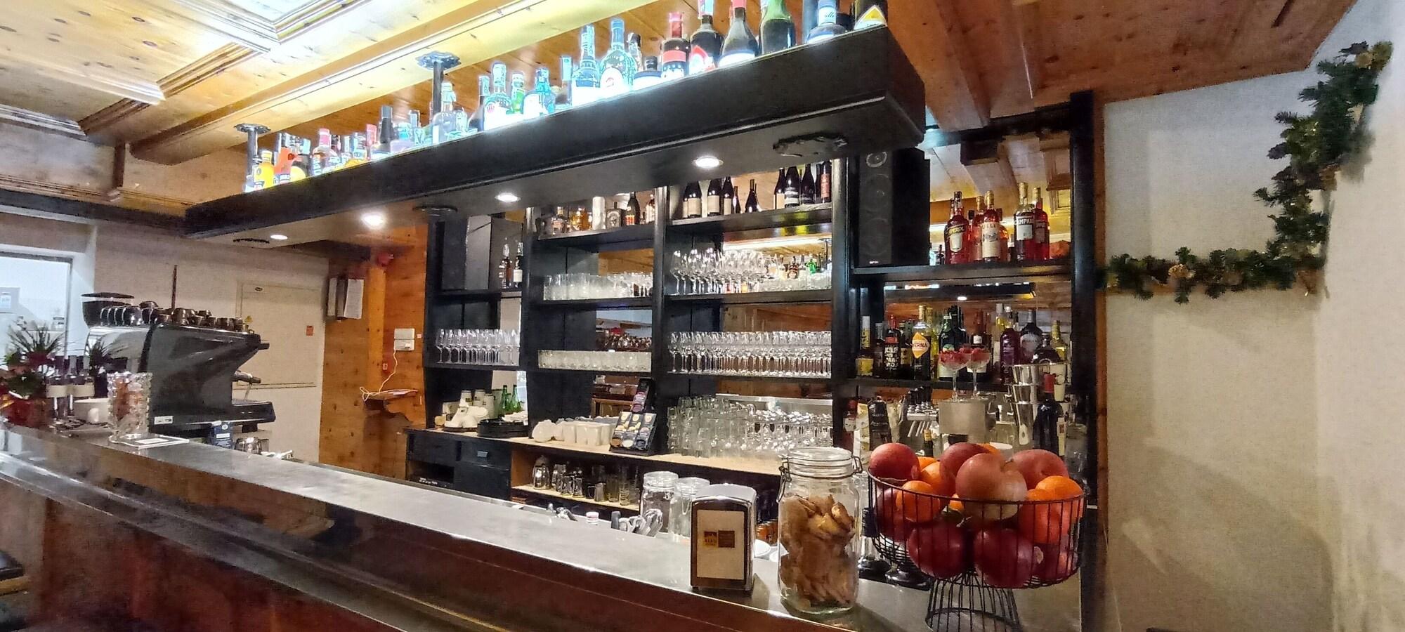 Bar/Salón PLOSE Parkhotel & Residence
