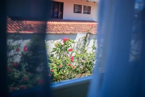 Alojamiento - Hotel Palugi
