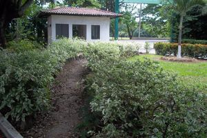 Alojamiento - Hotel Albatros
