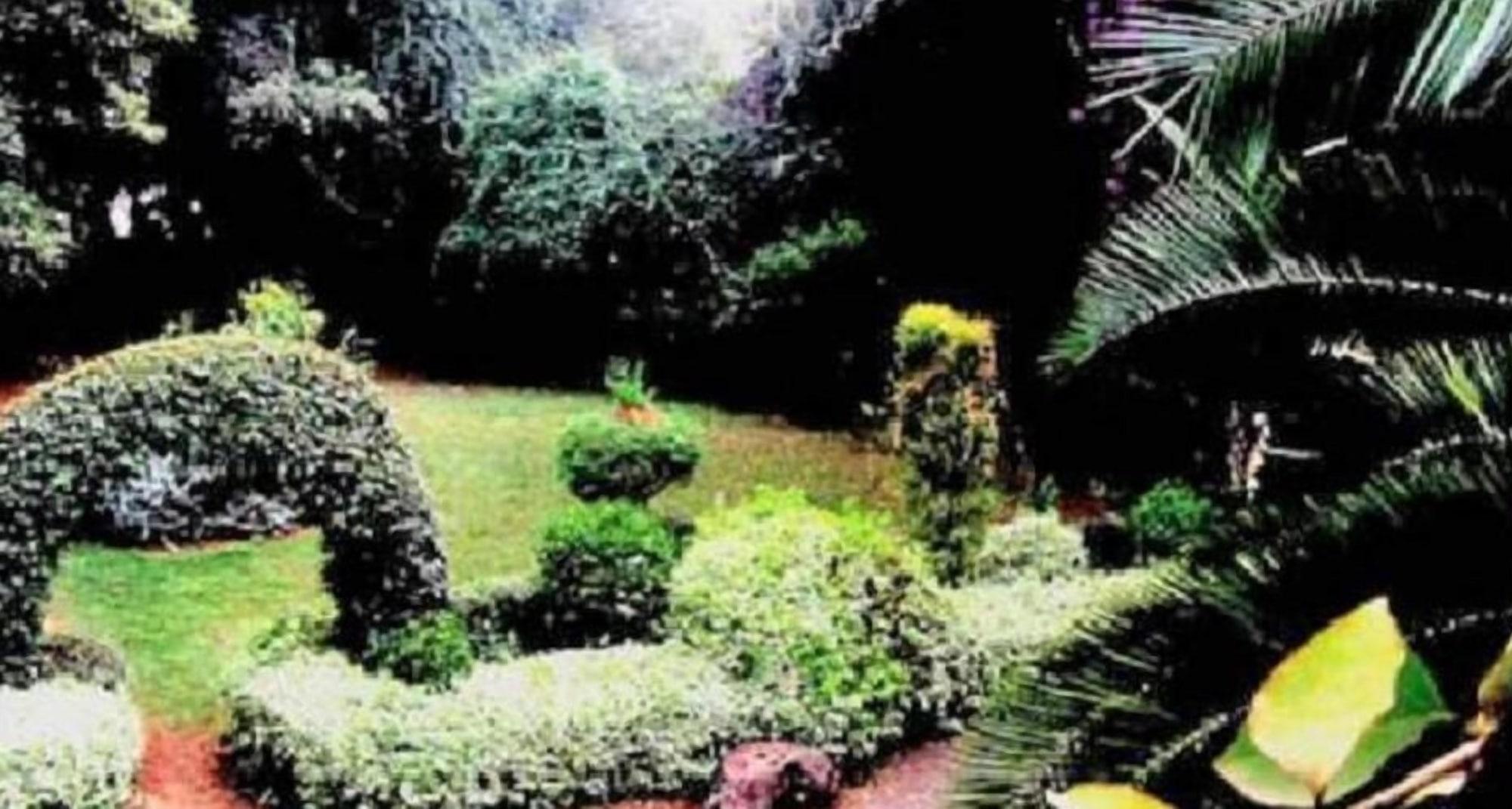 Comodidades del Alojamiento Kiloran House