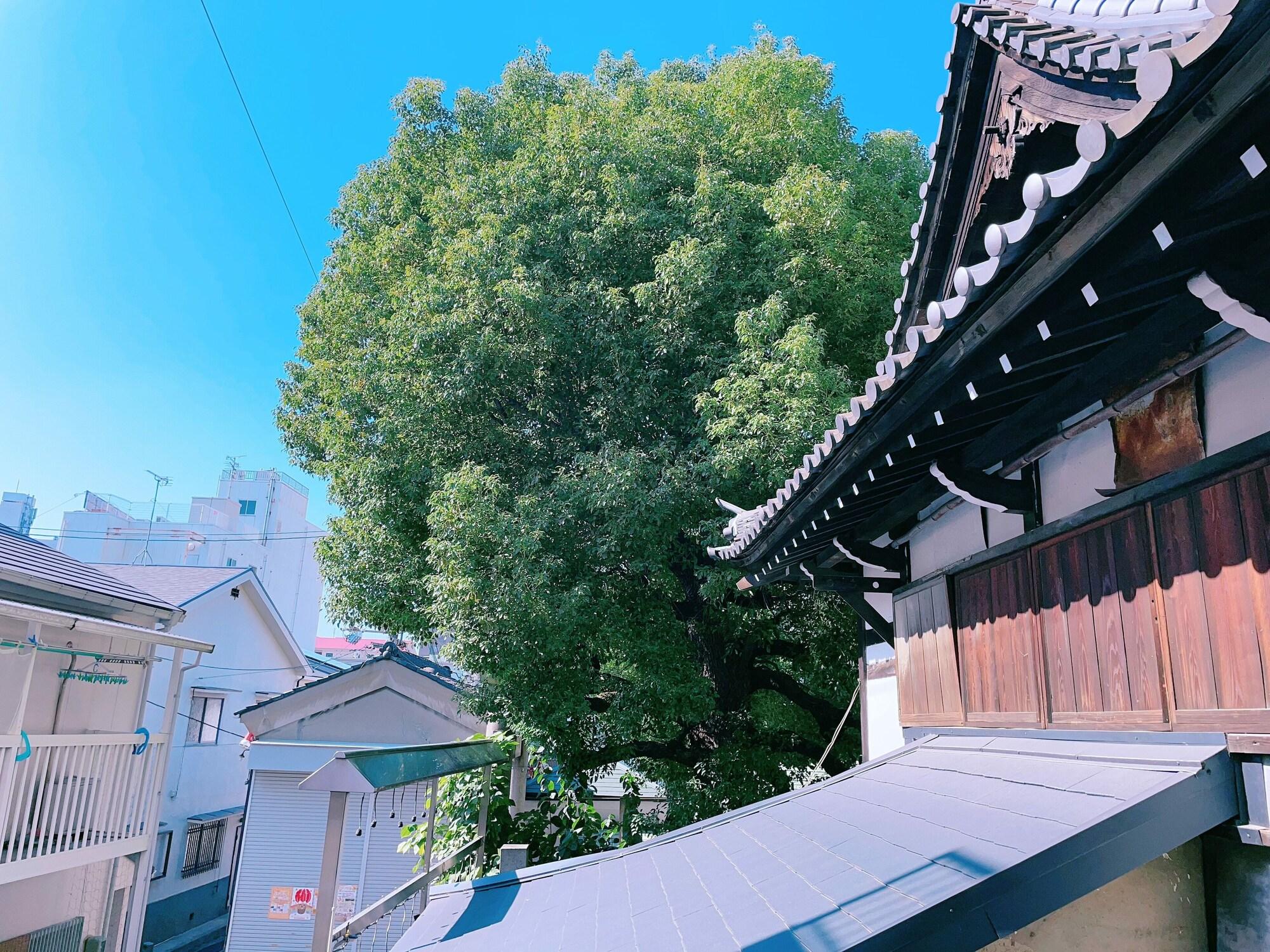 Varios Shinkou House UE