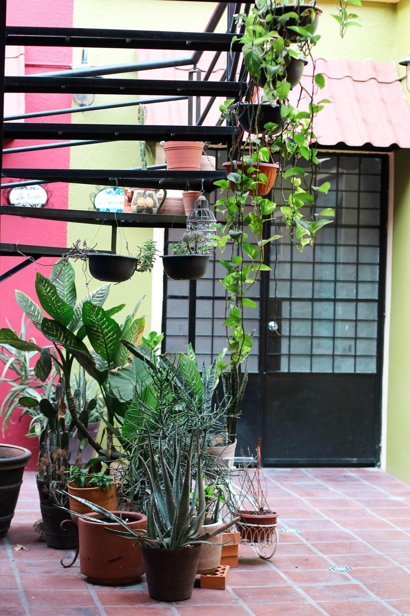 Vista Exterior Hostal La Loteria