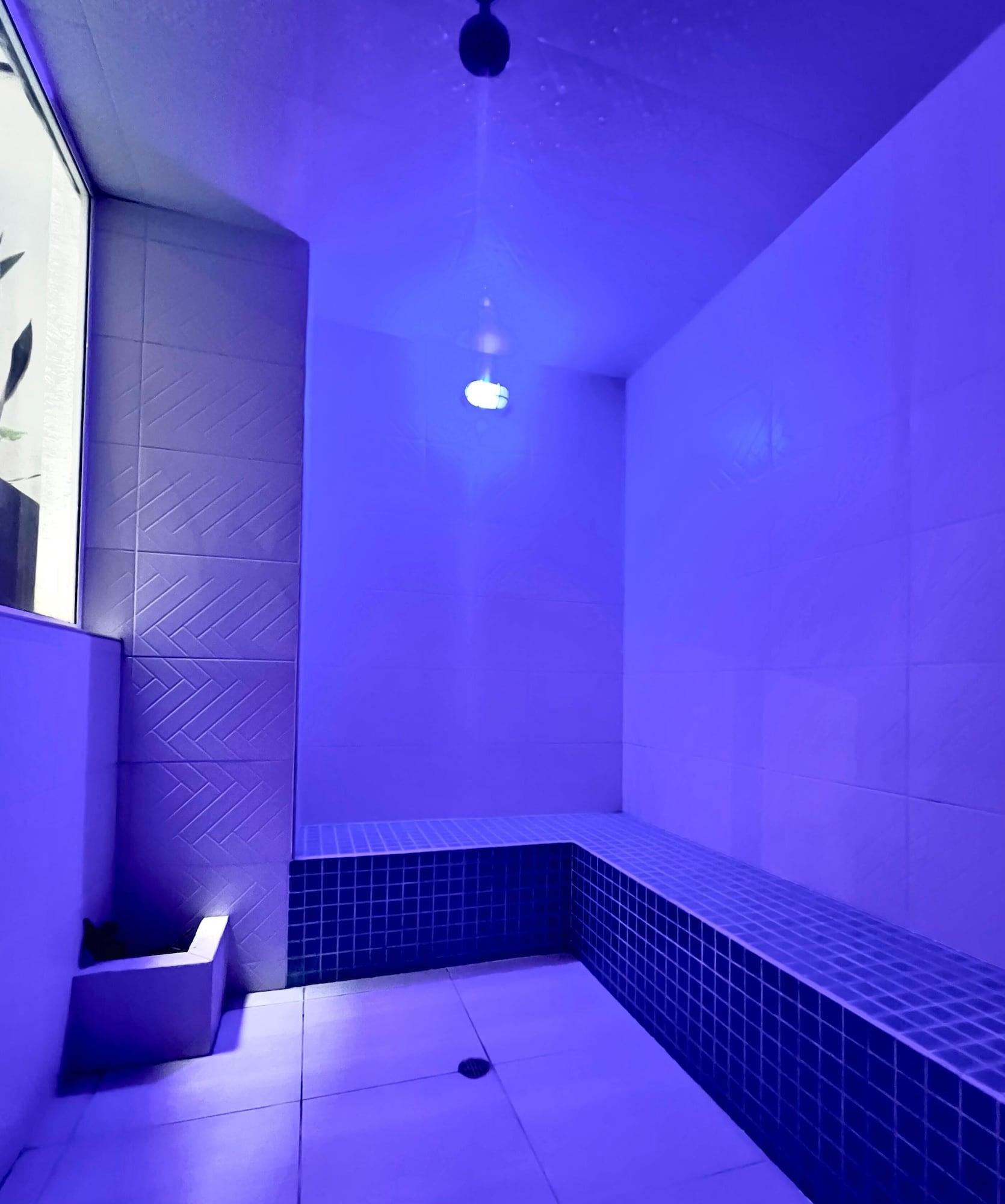 Spa Hotel Casa del Hidalgo Centenario - Business & Leisure
