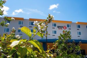 Alojamiento - SPOT X Hotel Orlando/Intl Dr by The Red Collection