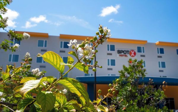 SPOT X Hotel Orlando/Intl Dr by The Red Collection - Hoteles cerca de Premium Outlets en Orlando