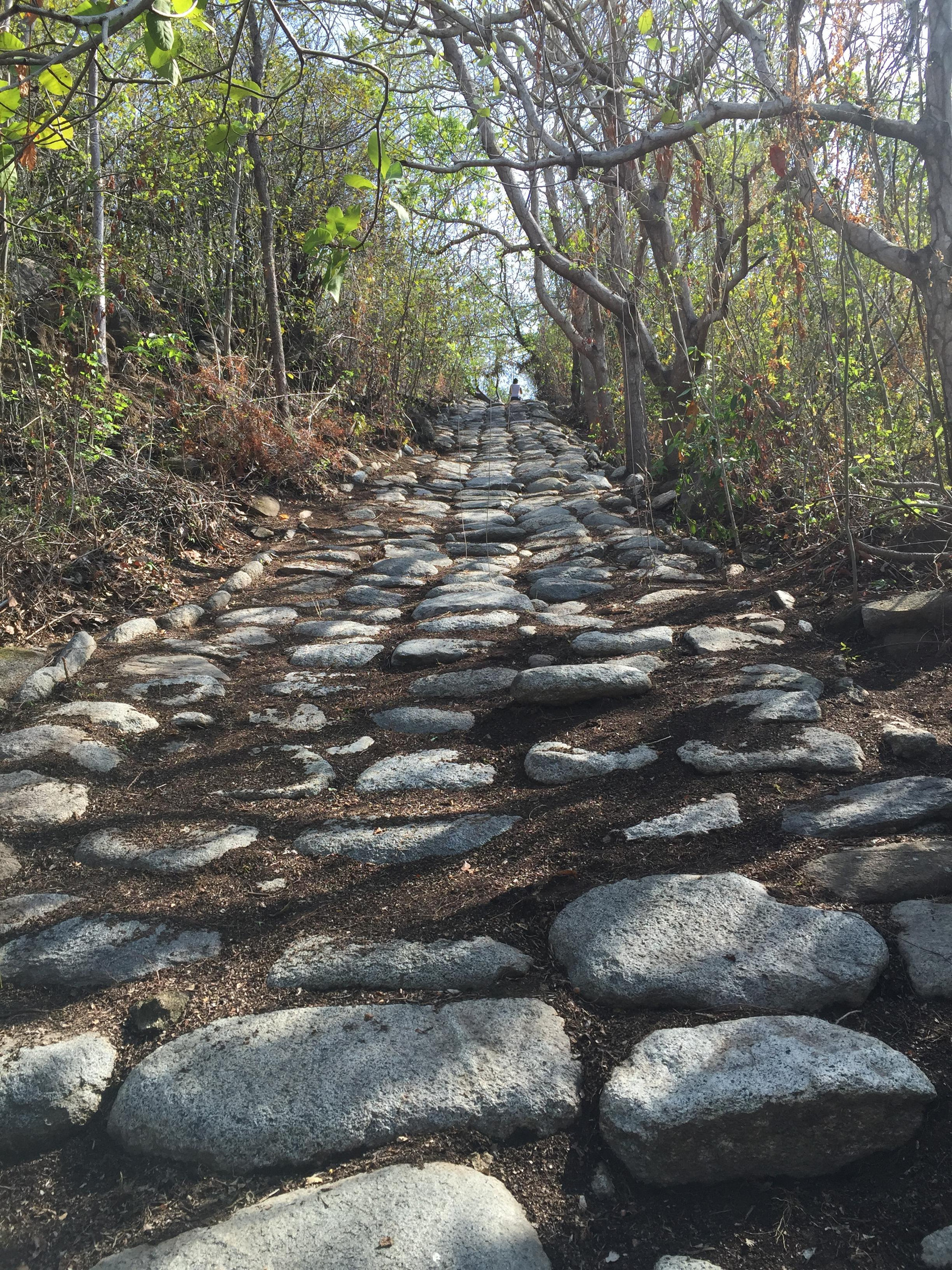 Comodidades del Alojamiento Sierra Sanjuan Ecolodge