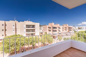 Alojamiento - Apartamentos Avenida - MC Apartamentos Ibiza