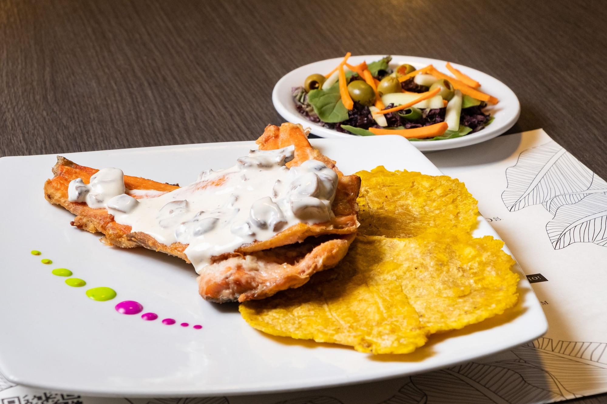 Hotel Hotel Virrey Central