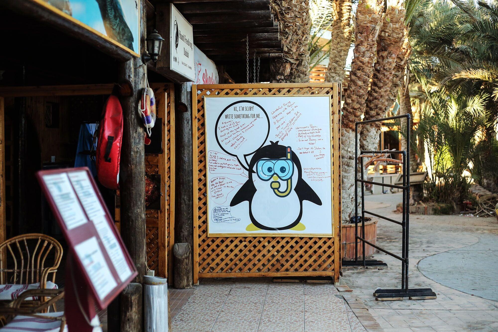 Vista Exterior Penguin Village Dahab