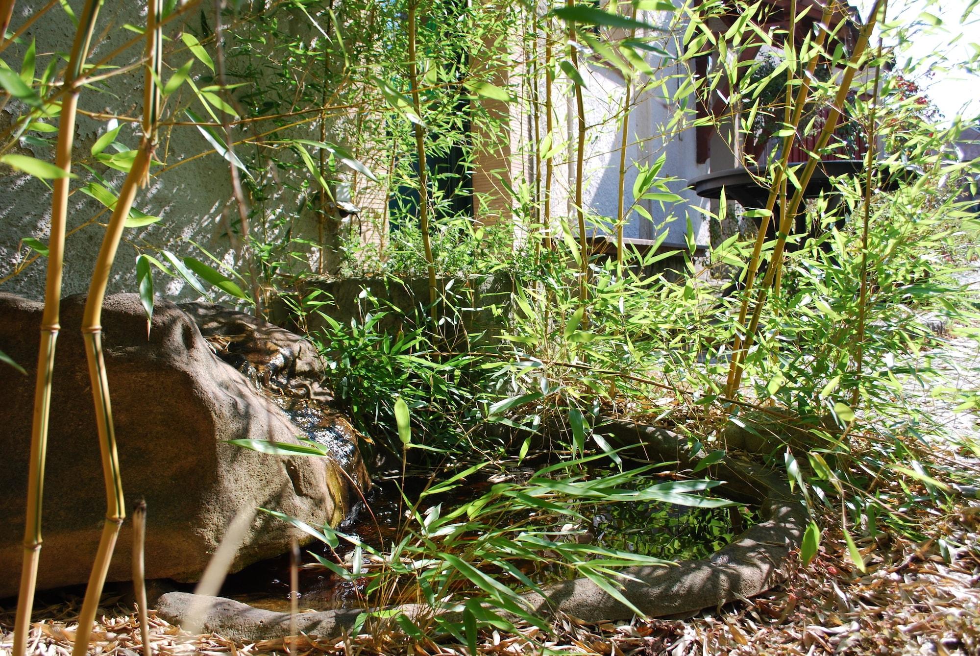Varios Grüne Idylle im Dresdener Süden