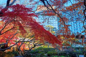 Alojamiento - Hotel New Otani Tokyo Garden Tower