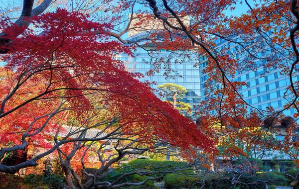 Hotel New Otani Tokyo Garden Tower