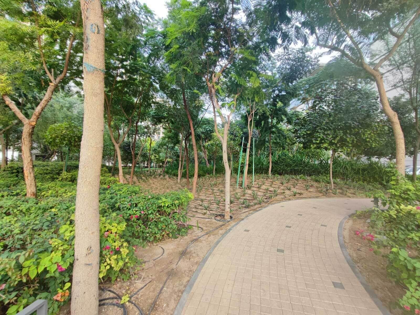 Vista Exterior Sobha Creek Vista Tower B Apartments