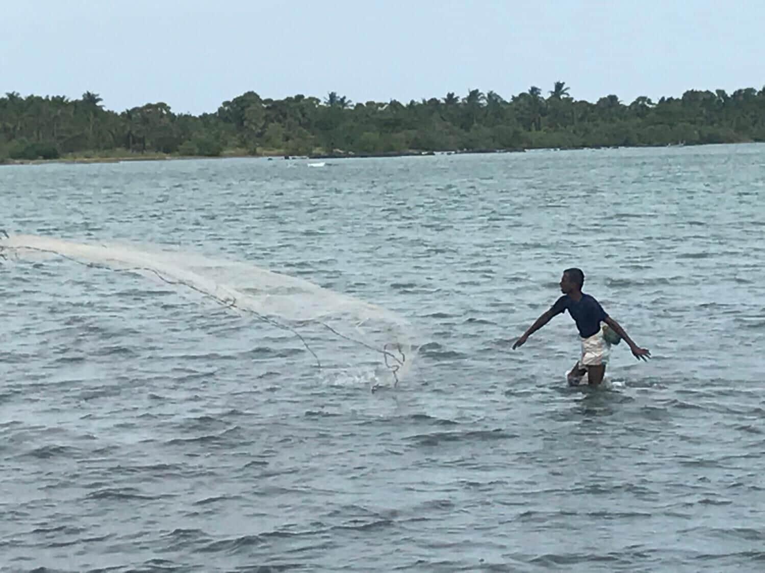 Varios Reef Pasikudah